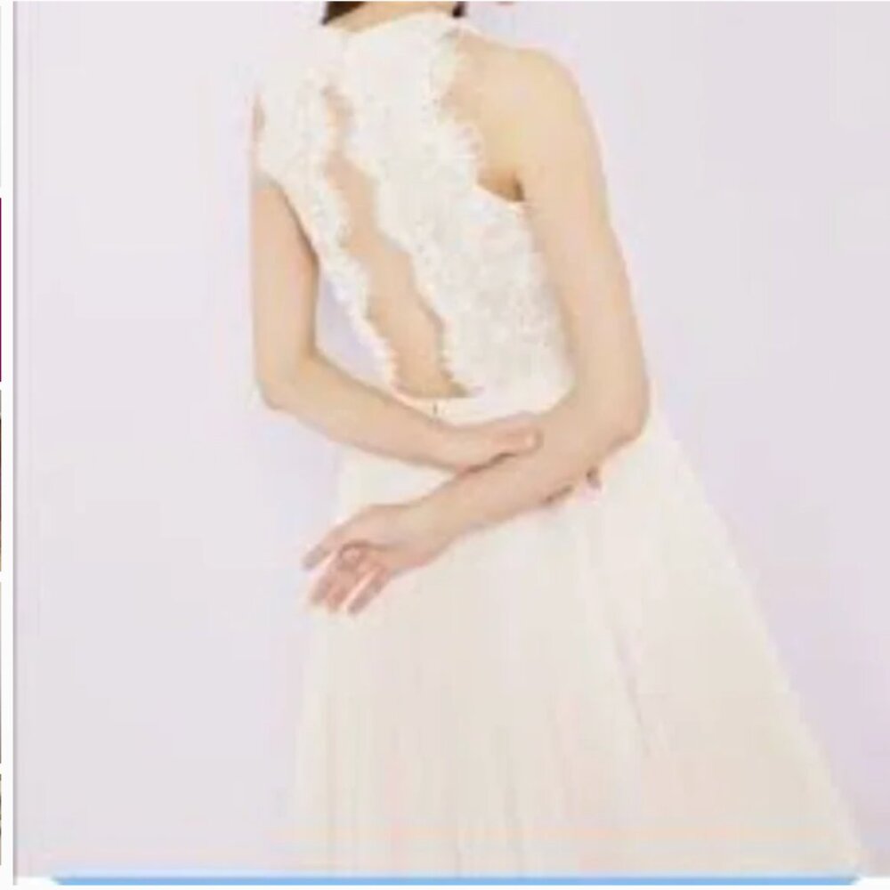 Ted Baker Pitara open back lace tulle dress light pink blush size 3 nwt - Picture 2 of 6